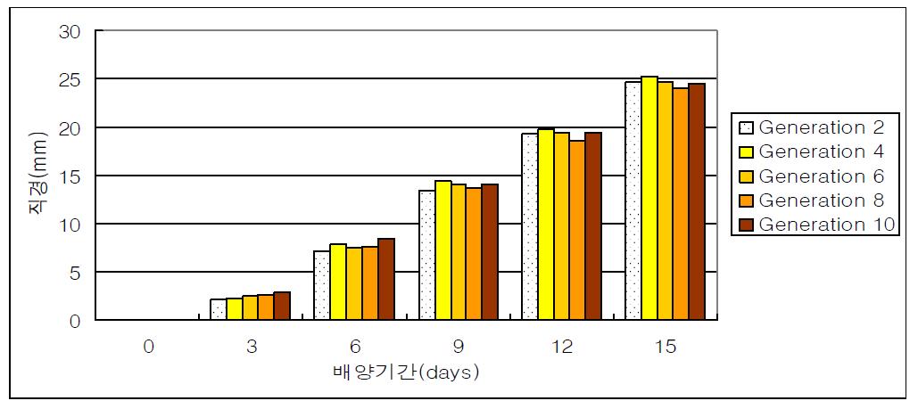 PDA 배지에서 계대 수별 균사체 성장속도 비교(II).