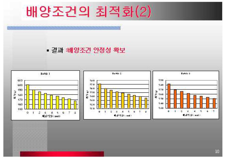 배양기간별 동충하초 균사체 배양조건의 안정성 조사.