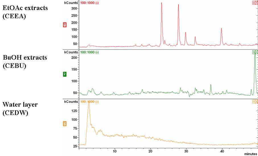 유기 용매로 분획된 발아 대두 동충하초 추출물의 LC/MS/MS 분석 Total ion chromatogram