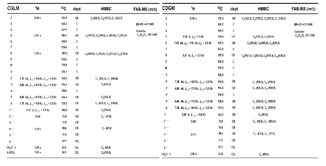 분리된 순수 화합물의 NMR 구조 분석 결과