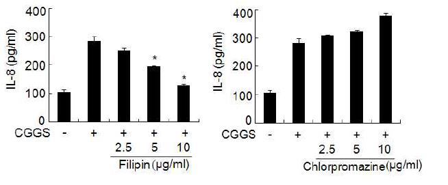 발아대두 동충하초 추출물이 호흡기 점막상피세포에서 lipid raft와 clathrin-coated pits 형성에 미치는 영향