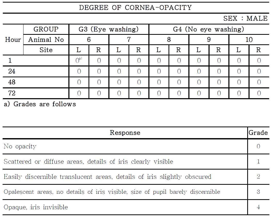 Degree of cornea-opacity in male rabbits