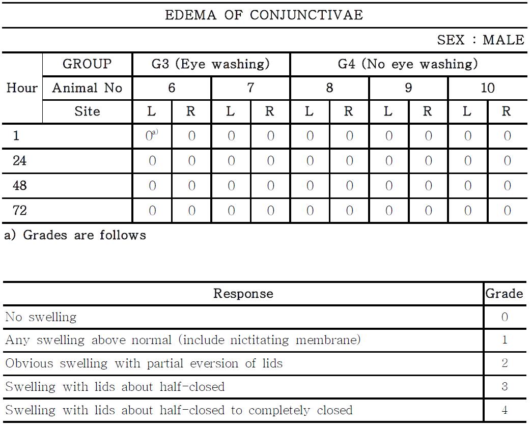 Edema of conjunctivae in male rabbits