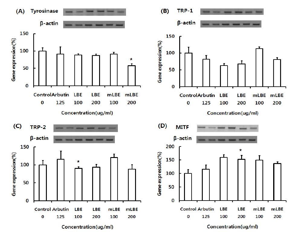 Effect of LBE and mLBE on mRNA expression of melanogenesis-related gene.