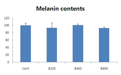 Betaine 농도 처리에 따른 B16F10 세포에서의 melanin contents