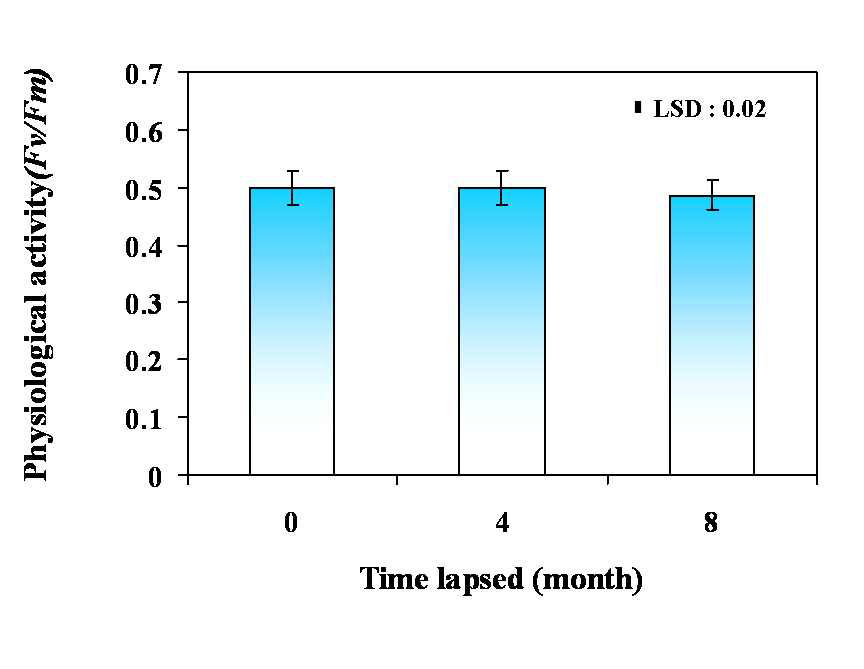 다시마 (Saccarina latissima) 휴면 포자의 광합성 활성 특이성 (4℃, 8개월, 암배양)