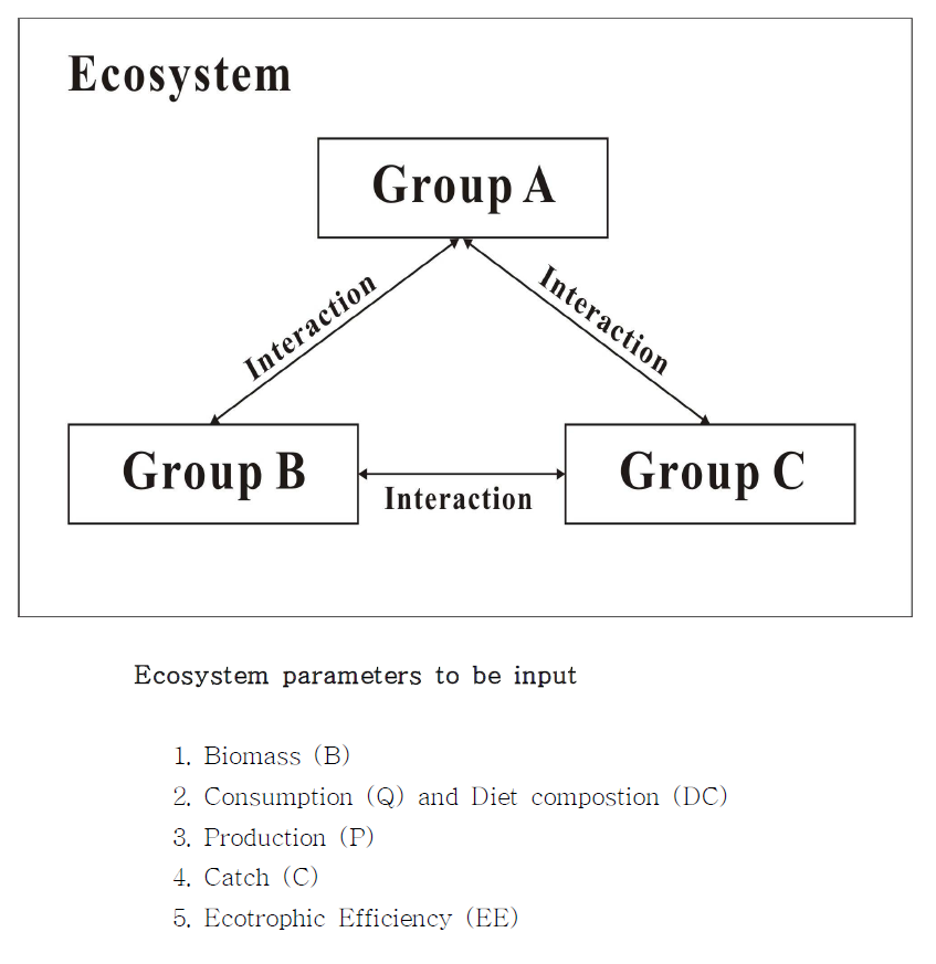 The example of ecosystem structure and basic input parameters used in the ecosystem model