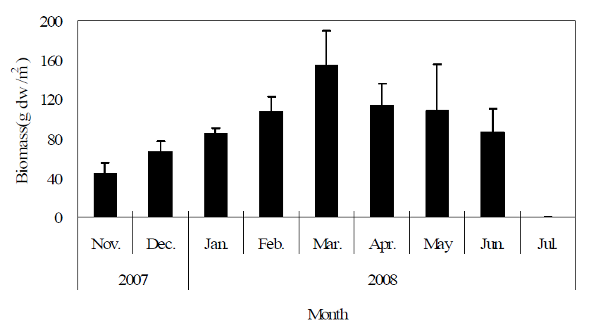 Monthly fluctuation of Sargassum biomass in Gamak Bay.