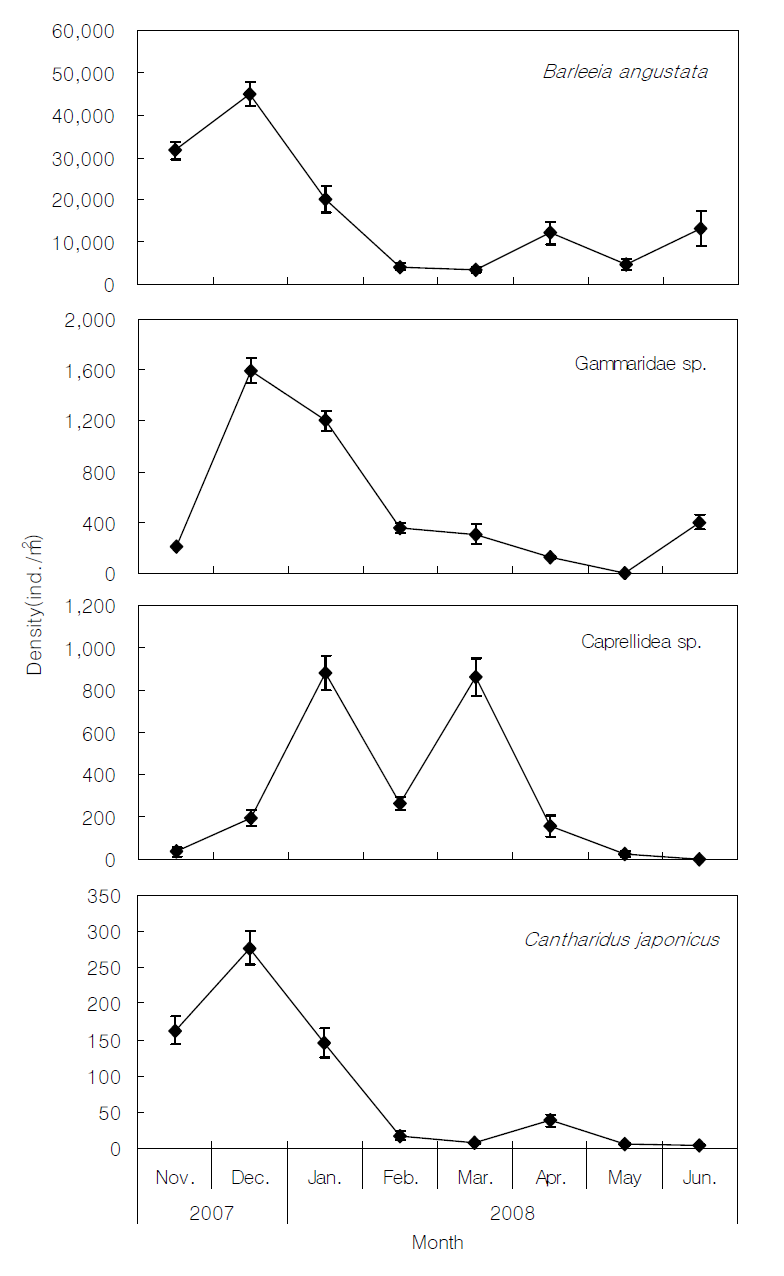 Monthly variations of dominant attached organism density on the Sargassum beds in Gamak Bay.