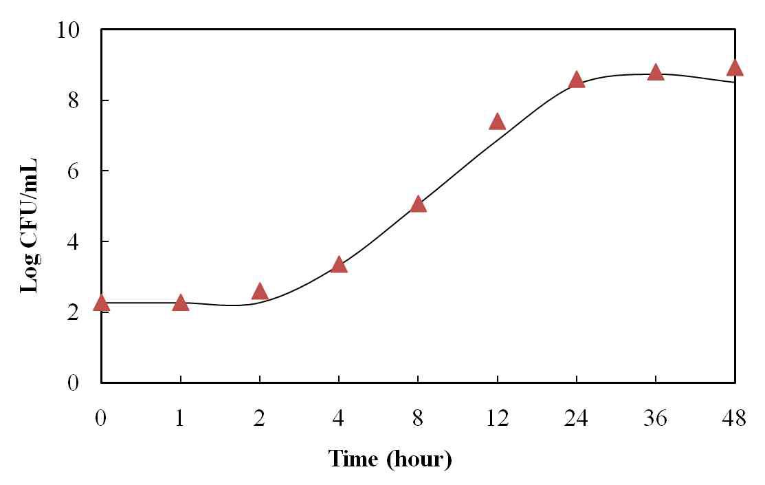 25℃ E. coli 증식 실측값과 예측값 곡선 (▲, 실측값; ―, New logistic model)