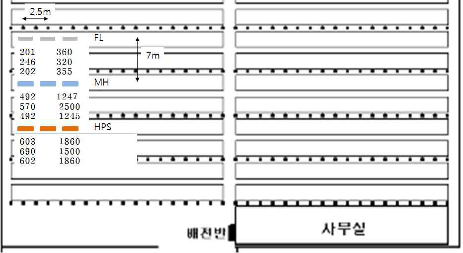 토마토 육묘의 인공광원 배치도 및 조도