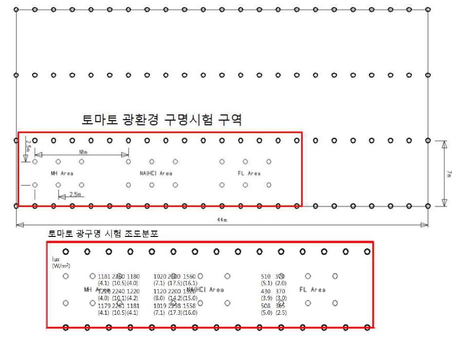 한국온실작물연구소의 인공광원 배치도 및 조도