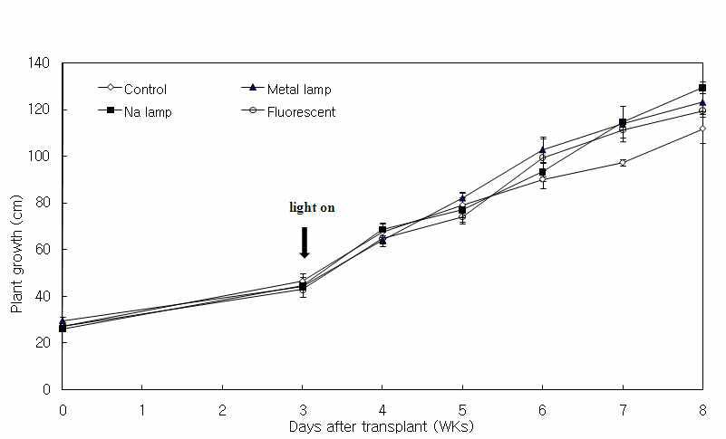 인공광원 처리에 따른 토마토의 경시적인 초장 생장반응 비교