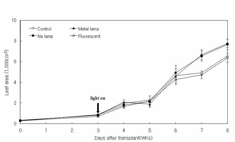 인공광원 처리에 따른 토마토의 엽면적 생육특성 비교