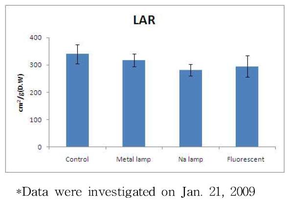 인공광원 처리에 따른 토마토의 엽면적비율(LAR) 비교