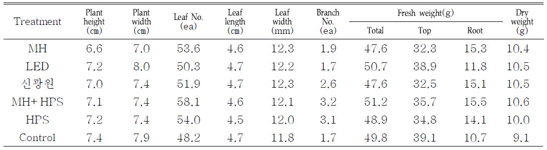 Effect of light sources on growth charactrics of Haworthia fasciata