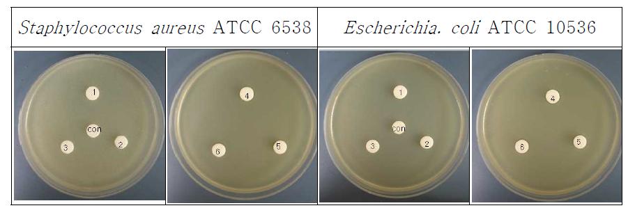 시판 손세척제의 항균활성