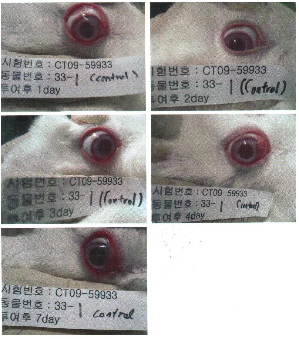 대조물질 처리 1, 2, 3, 4, 7 일 후 안점막자극 반응