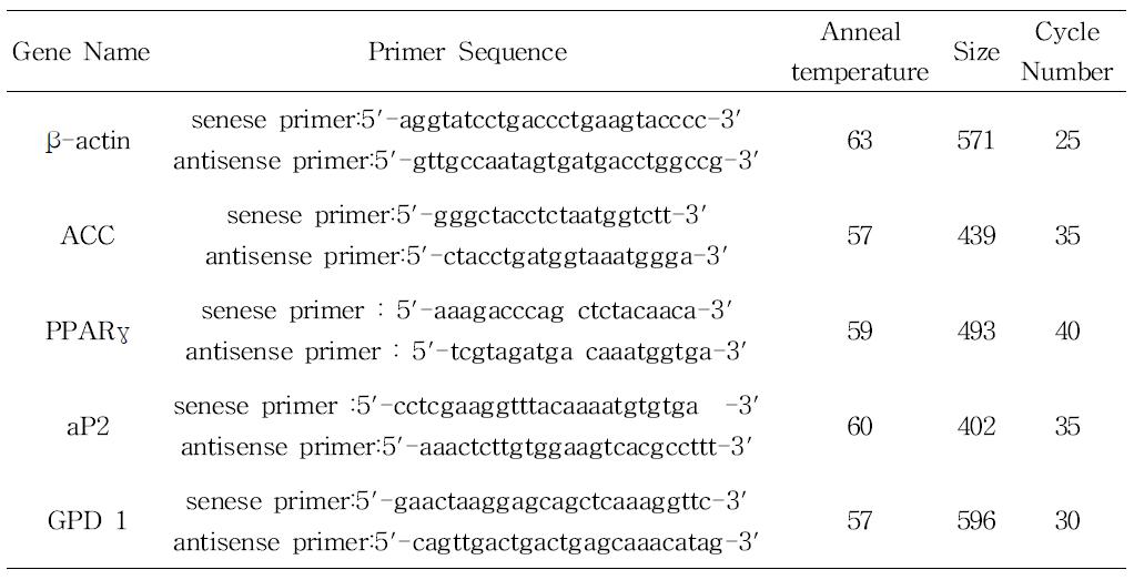 본 연구에 사용된 유전자의 Primer Sequence