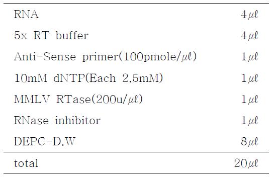 N protein cDNA 합성 조건