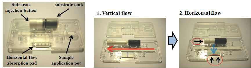 One-step EOC 플라스틱 칩 구성(왼쪽)과 교차흐름에 의한 분석원리(오른쪽). 1. 항원-항체 반응을 유도하는 세로흐름 및 2. 효소반응을 통한 신호발생을 유도하는 가로흐름
