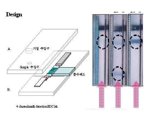 ladder bar 형식의 다중 측정 면역센서 카트리지.