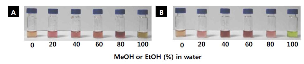 The visual color of anthocyanin extracts from the ogaja at different solvents system