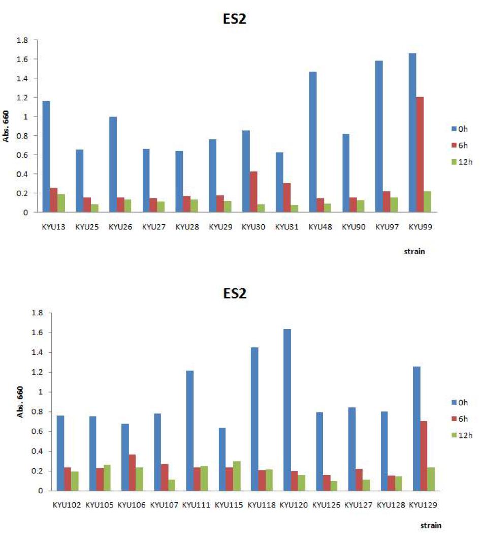 Reduction of biofilm of Cronobacter spp. by virulent phages