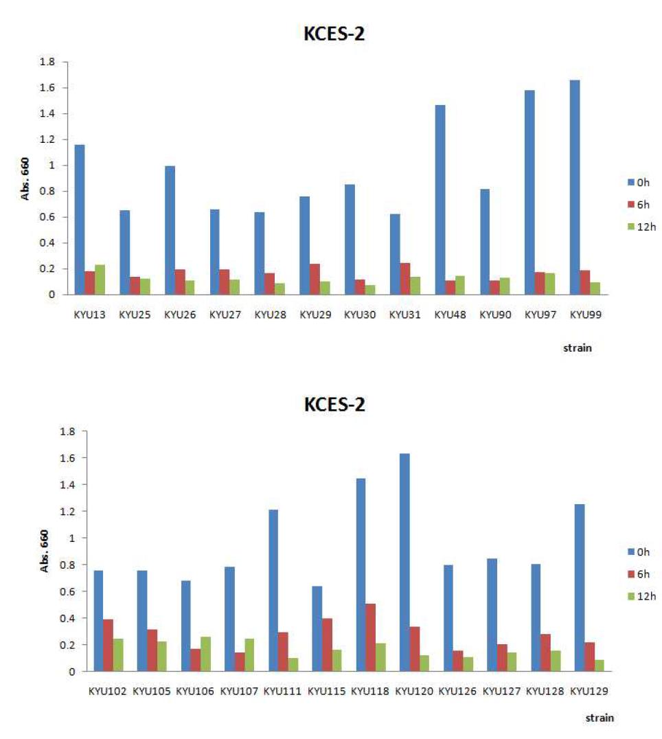 Reduction of biofilm of Cronobacter spp. by virulent phages