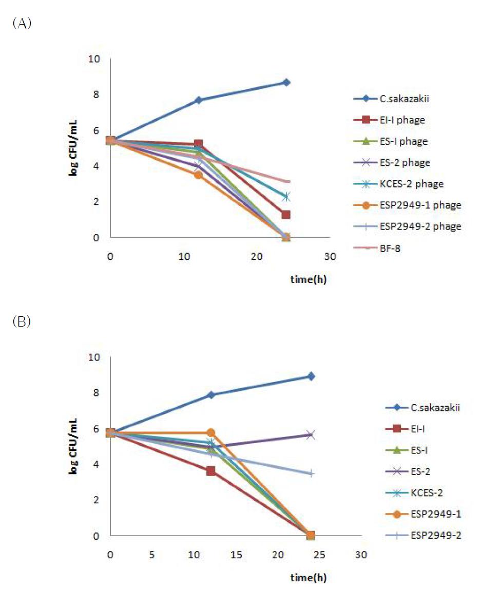 Viability of C. sakazakii by virulent phages with supernatant of Bifidobacterium BF-8 in (A)LB broth and (B)infant milk formula