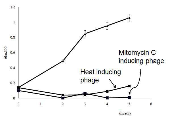Growth inhibition of C. sakazakii ATCC29544 by heat and mitomycin C inducing temperate phages