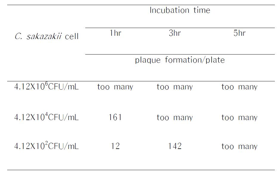 Detection limits of C. sakazakii by virulent phage cocktails