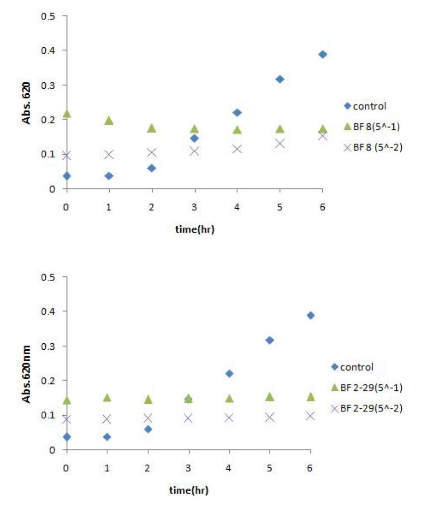 Growth inhibition of C. sakazakii by lyophilized supernatant of Bifidobacterium spp.