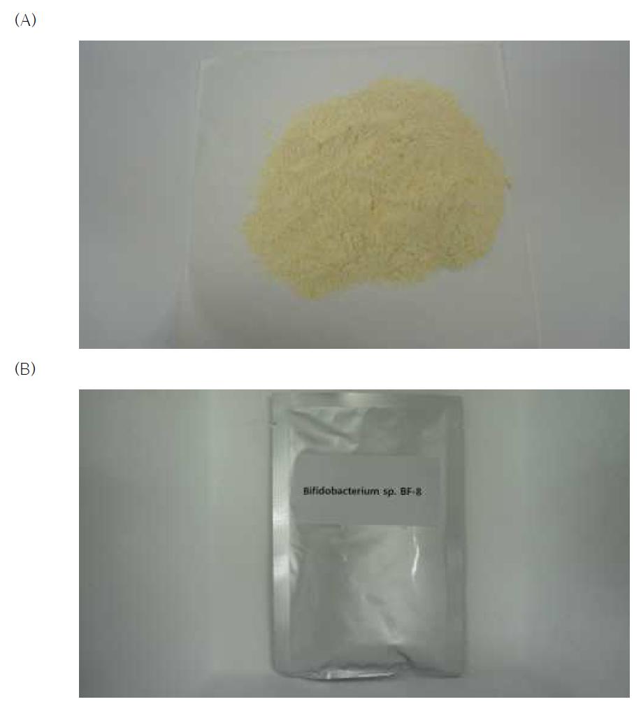 Freeze dried product of Bifidobacterium sp. BF8.