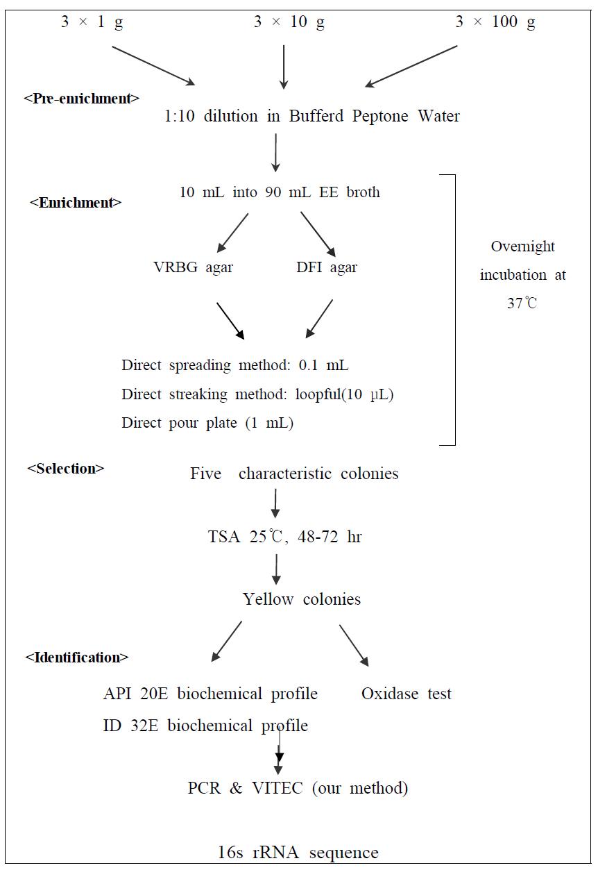 Isolation and Identification of C. sakazkaii (FDA method and Carol Iversen et al., 2003)