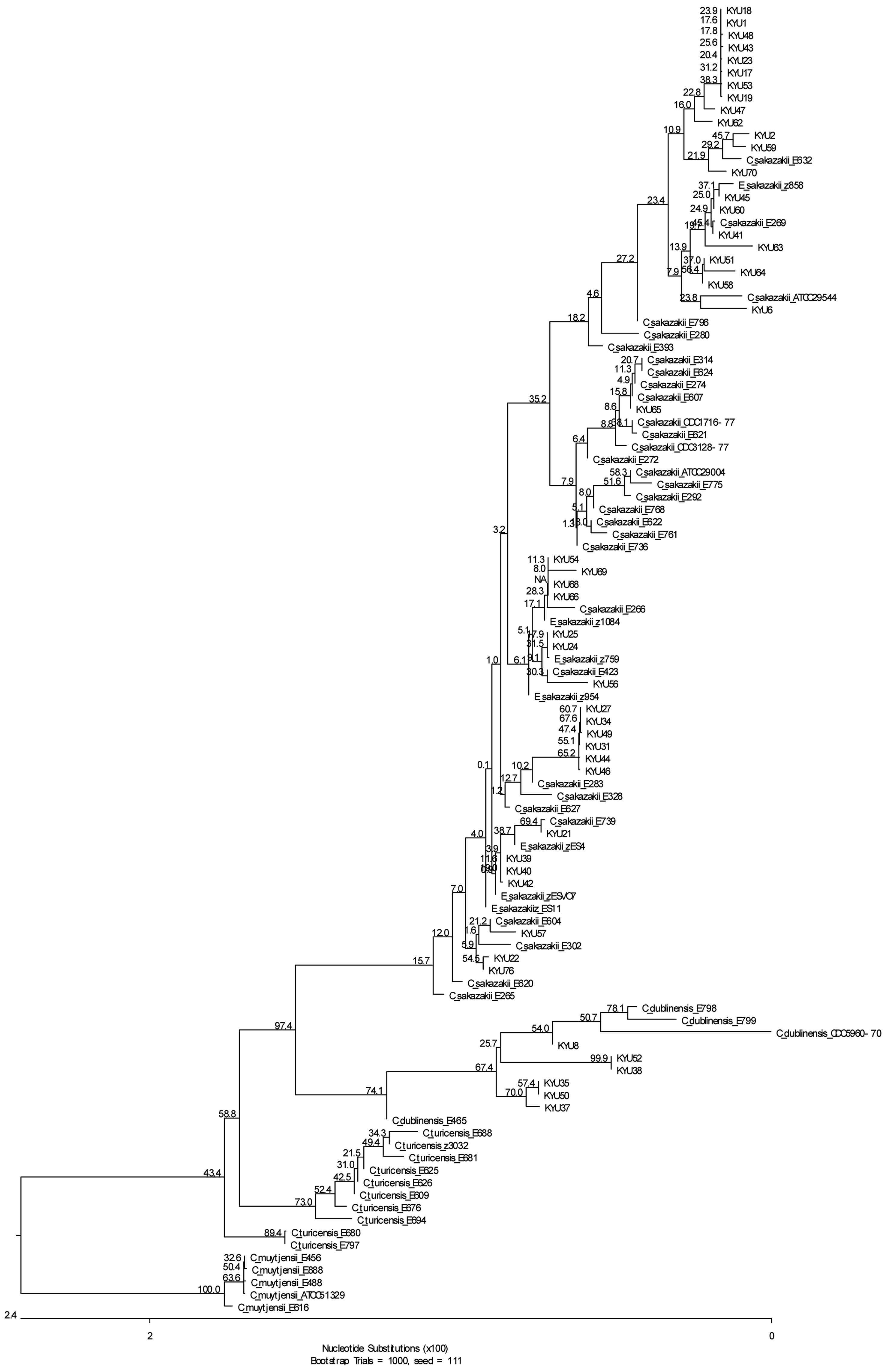 Neighbor-joining tree of Cronobacter spp. and related organisms based on partial 16SrDNA sequences(bootstraps=1000)
