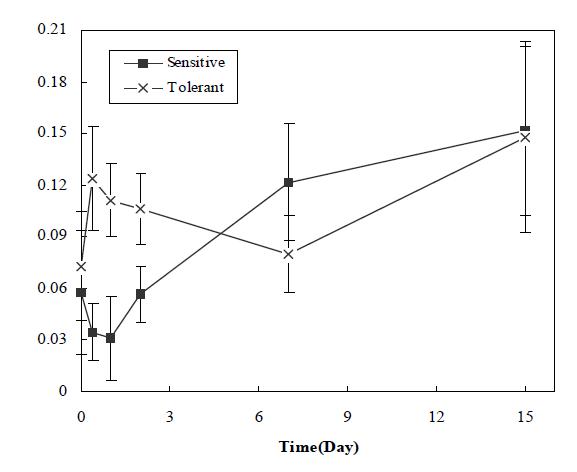 Comparison biofilm formation capability with dry-sentitive/tolerant strains of C. sakazkaii by microtiter plate method. Average of 3 representative strains each.