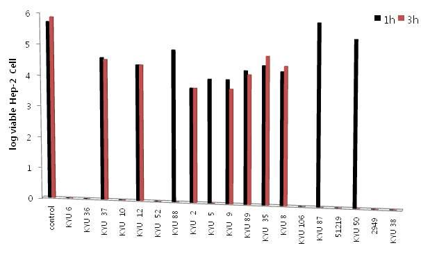 Viability of Hep-2 cell by C.dublinesis and C.sakazakii isolates