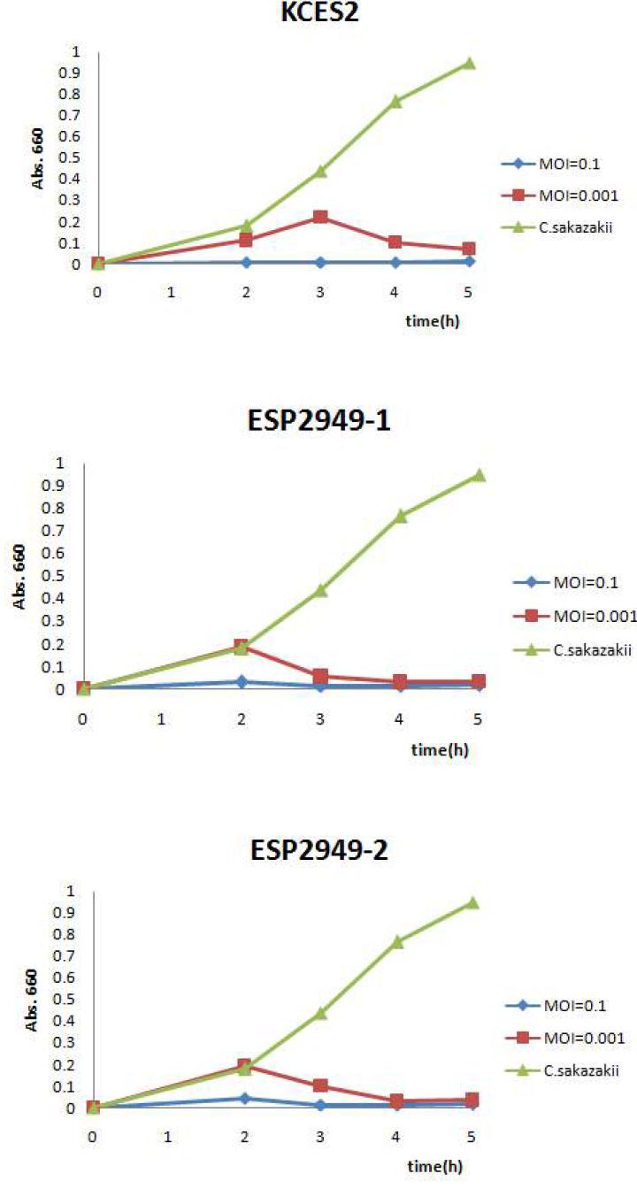 Growth inhibition of C. sakazakii ATCC29544 by virulent phages
