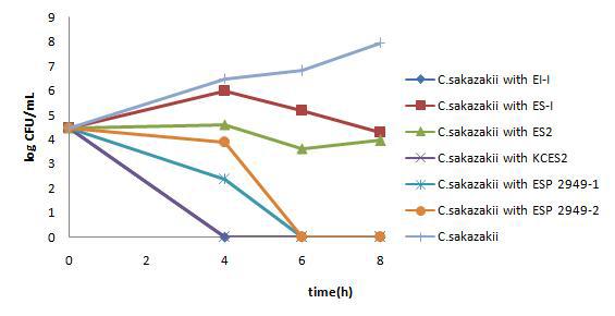 Survival of C. sakazakii ATCC29544 by virulent phages in LBC