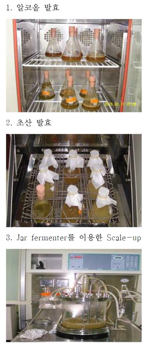 Manufacturing process of fermented cucumber vinegar