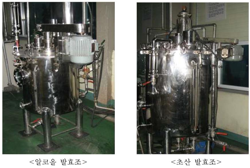 Scale-up of fermentation process for the production of cucumber vinegar