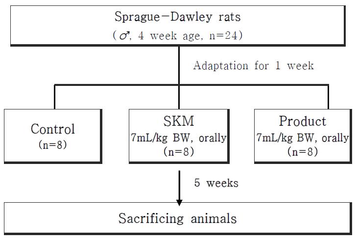 Experimental design of animal test