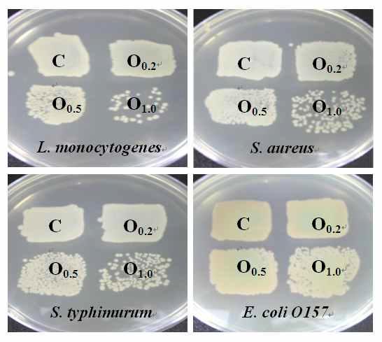 Antimicrobial activity assay of essential oil against L. monocytogenes, S. aureus, S. typhimurium and E. coli O157 (Human).