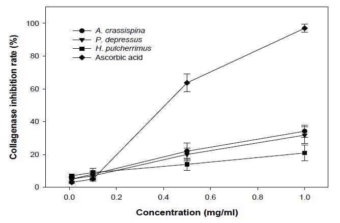 Collagenase inhibitory effect of methanol extracts from Antocidaris crassispina (보라성게), Pseudocentrotus depressus (분홍성게) and Hemicentrotus pulcherrimus (말똥성게).