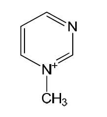 Structure of Fraction 1-2-1 identified as 1-methyl-Pyridimine / 분자량: 95