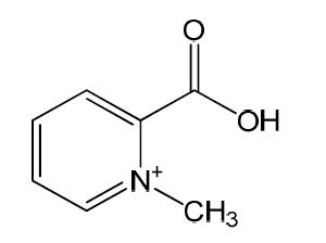 Structure of Fraction Fraction 1-2-2 identified as Homarine (1-methyl-2-Pyridine carboxylic acid)/ 분자량: 138