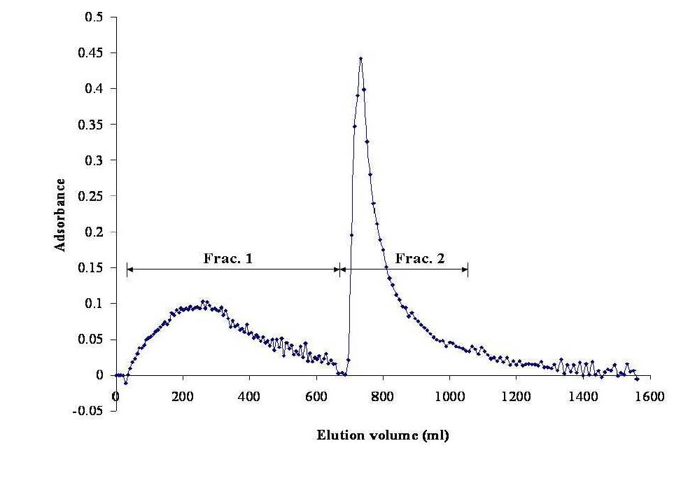 FPLC chromatogram of water extract from red beet; Fractions 1 and 2 are detected at 476 nm and 537 nm, respectively