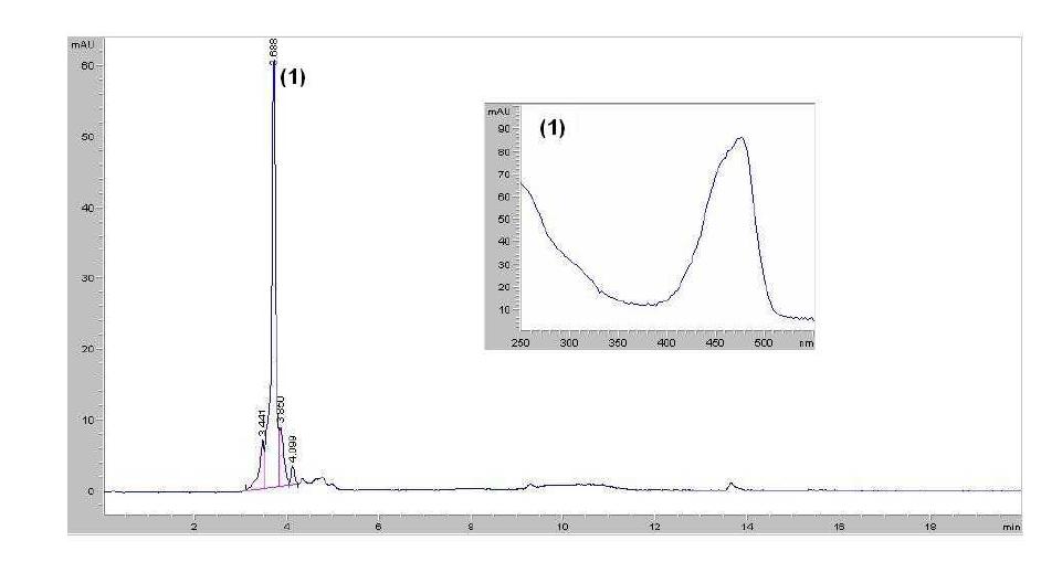 HPLC chromatogram and UV/Vis spectrum of Fraction 1 purified by a AW90 anion exchange column chromatography