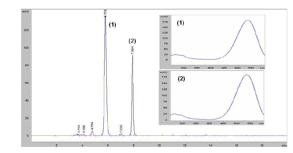 HPLC chromatogram and UV/Vis spectrum of Fraction 2 purified by a AW90 anion exchange column chromatography